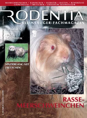 Rodentia 22 - Rassemeerschweinchen