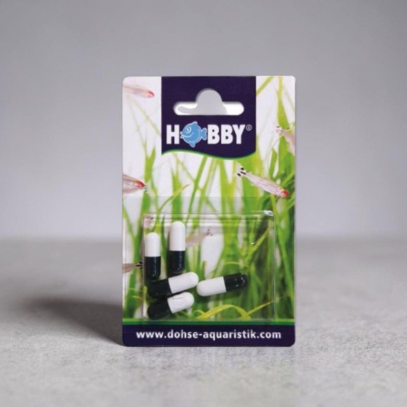 Köder für Planarien