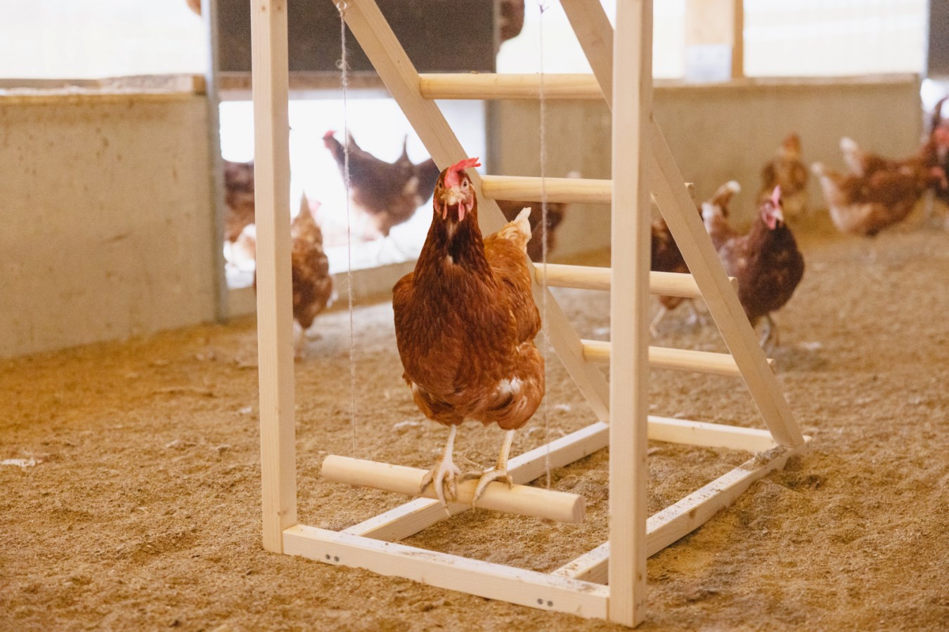 Climbing tower with swing