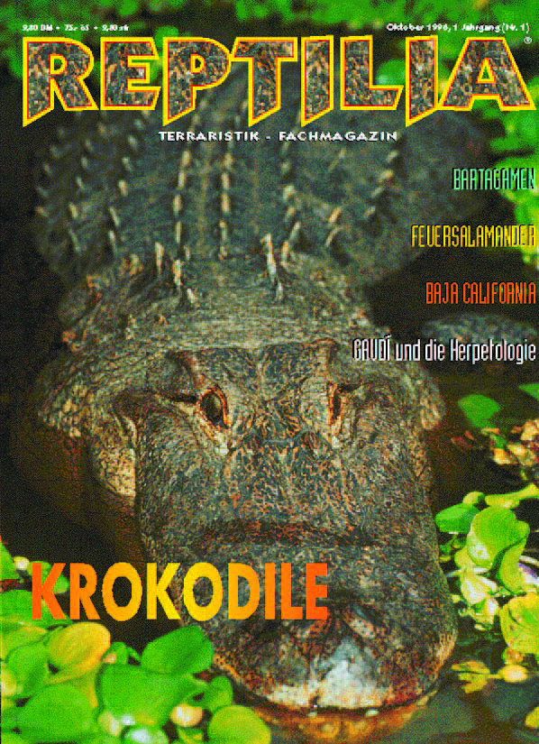 Reptilia 01 - Krokodile
