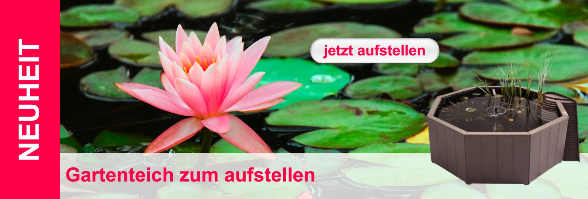 promo-pond-set-up-de