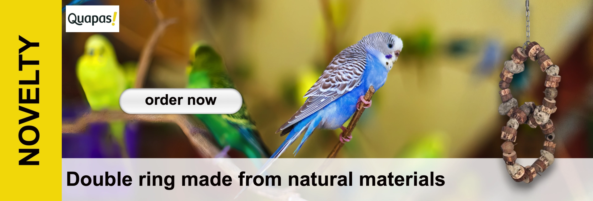 A blue budgie is perched on a branch, surrounded by blurry fellow budgies. On the right hangs a double-ring bird toy made of wood and stones. It features the Quapas logo, the ‘order now’ button and the text ‘Double ring made from natural materials’.