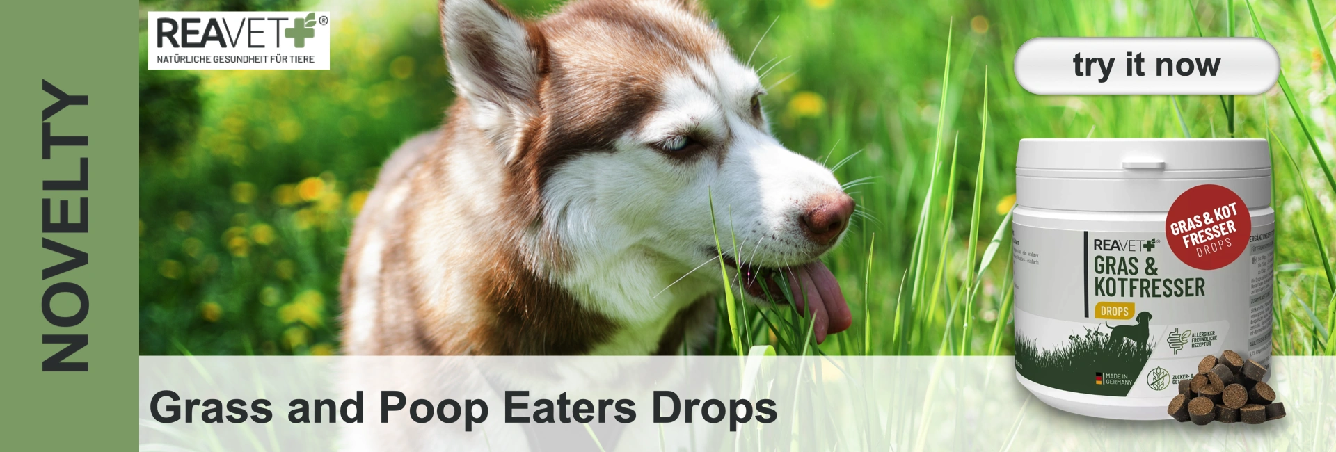 A brown-and-white husky with light blue eyes eats grass in a green meadow with yellow flowers. On the right is a white REA`VET+ container for ‘Grass & Poop Eaters Drops’. Left: ‘NOVELTY’. Bottom title: ‘Grass and Poop Eaters Drops’.