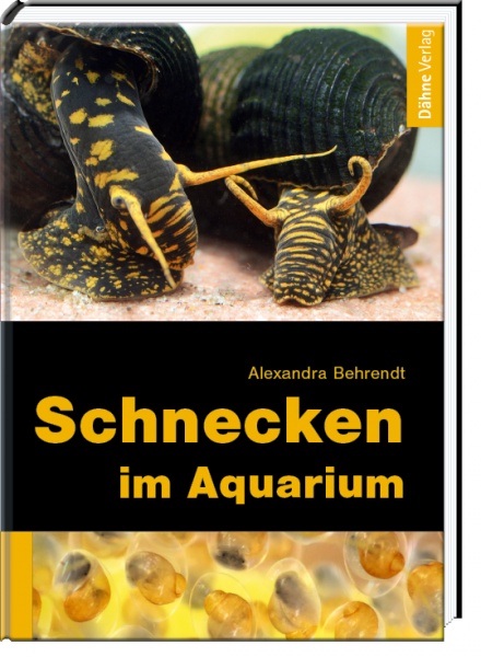Dähne Schnecken im Aquarium - Alexandra Behrendt
