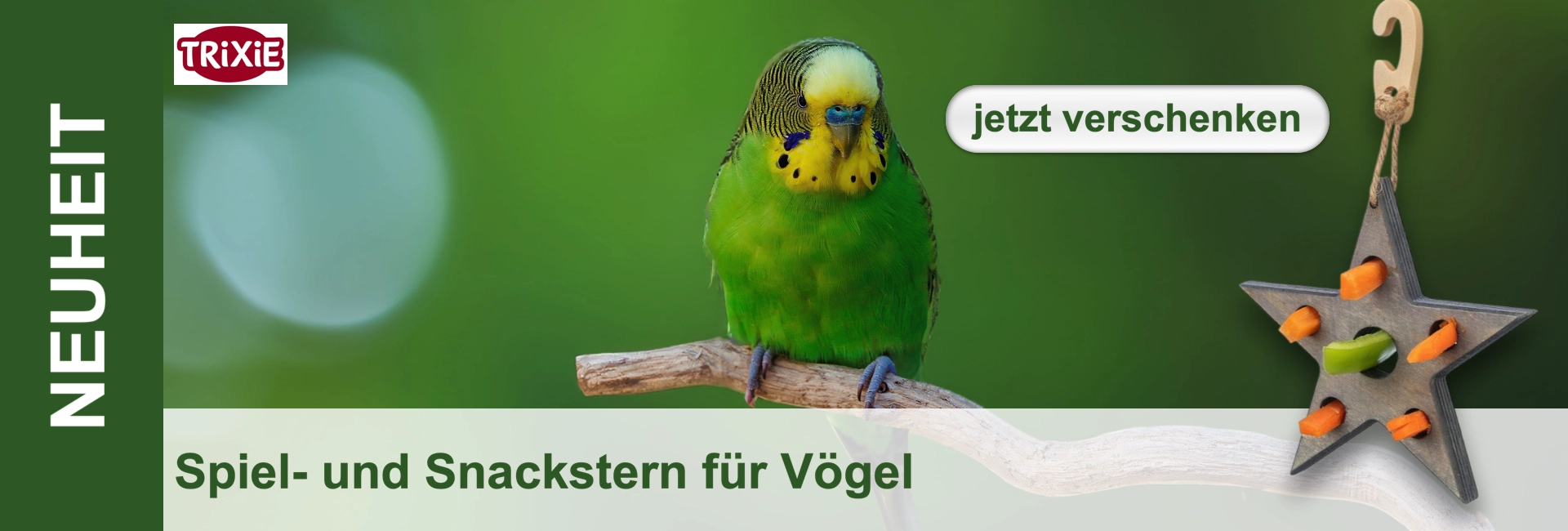 Un pappagallino verde siede su un ramo. Accanto a lui c'è una stella da gioco e da spuntino per uccelli, piena di verdure.
