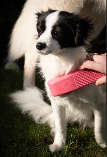 Excellent Pets grooming brush 