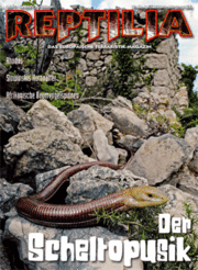 Reptilia 88 - Der Scheltopusik