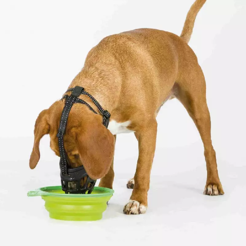 Muzzle Flex Maulkorb