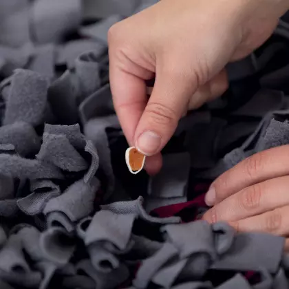 Sniffing Carpet Strategy Game 