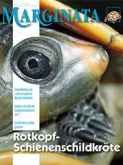 Marginata 40 - Rotkopf-Schienenschildkröten