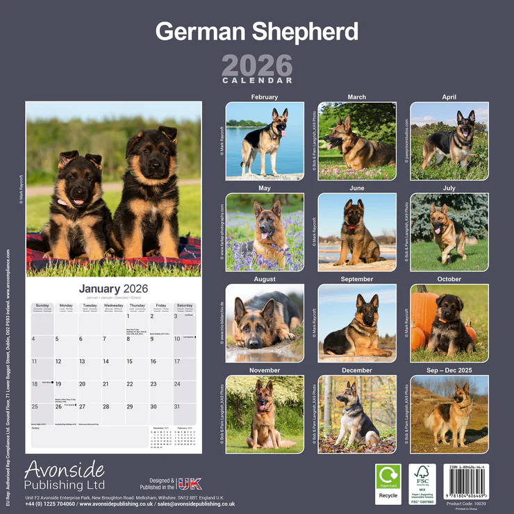 Calendar 2025 German Shepherd