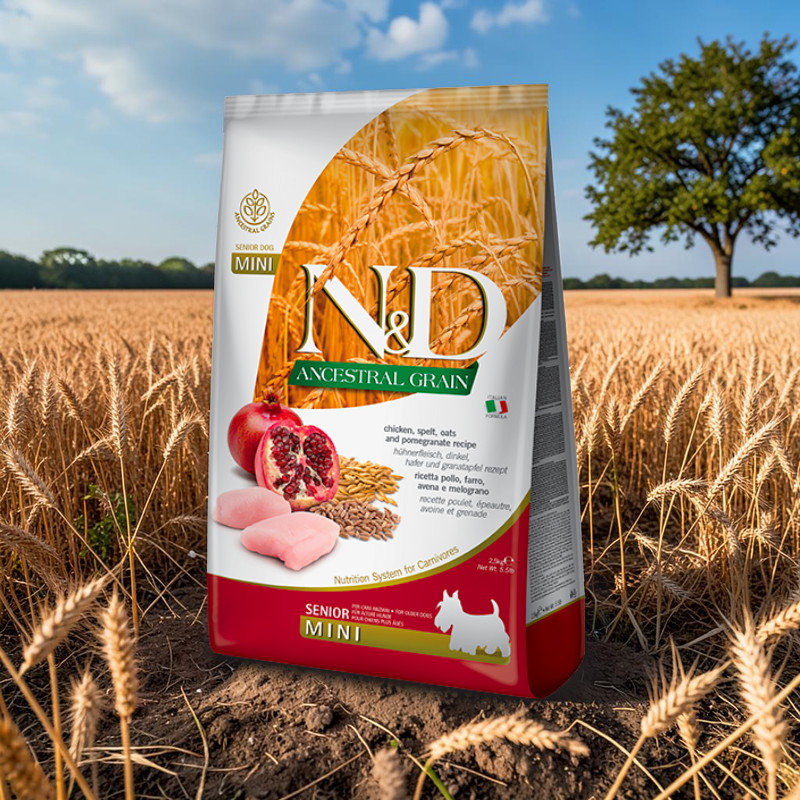 Farmina N&D Ancestral Grain Senior Mini mit Huhn, Dinkel, Hafer und Granatapfel