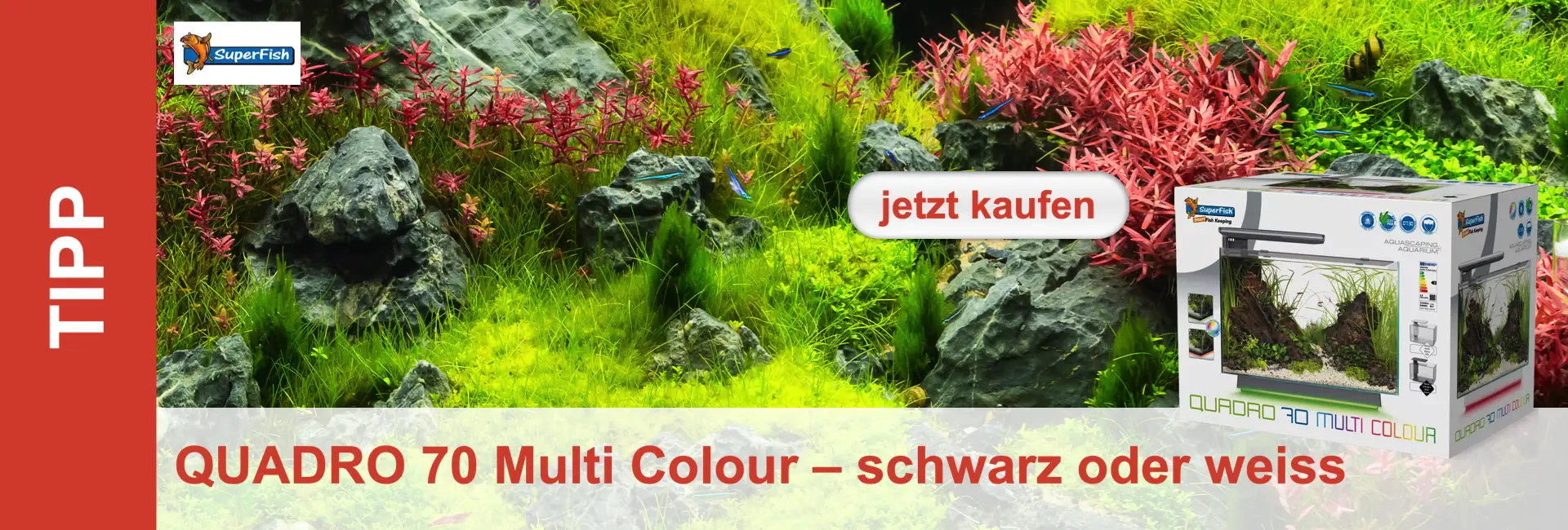 Acquario decorativo con piante verdi, accenti rossi e rocce, con la confezione del prodotto sullo sfondo.