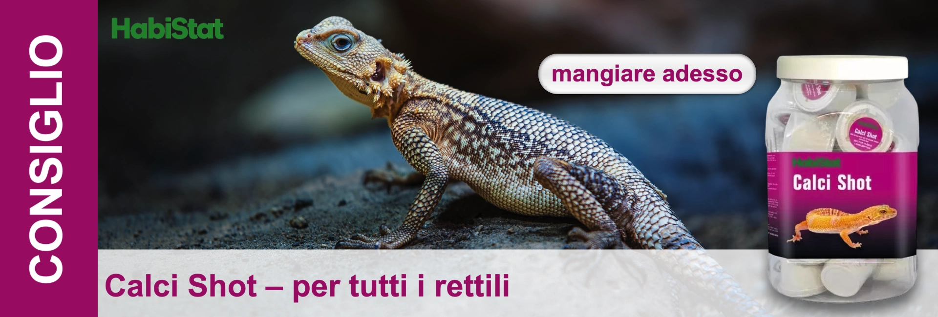 Rettile squamoso bianco-brunastro con occhi blu su roccia scura, sguardo a sinistra. In fondo a destra contenitore trasparente con capsule Habistat Calci Shot. Testi: «CONSIGLIO», «mangiare adesso», «Calci Shot – per tutti i rettili».