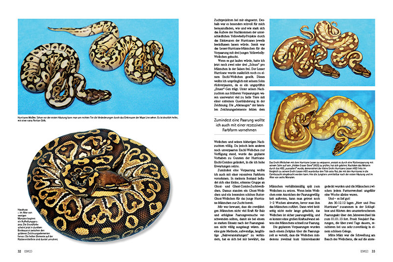 Draco 57 - Schlangen: Farb- und Zeichnungszuchten