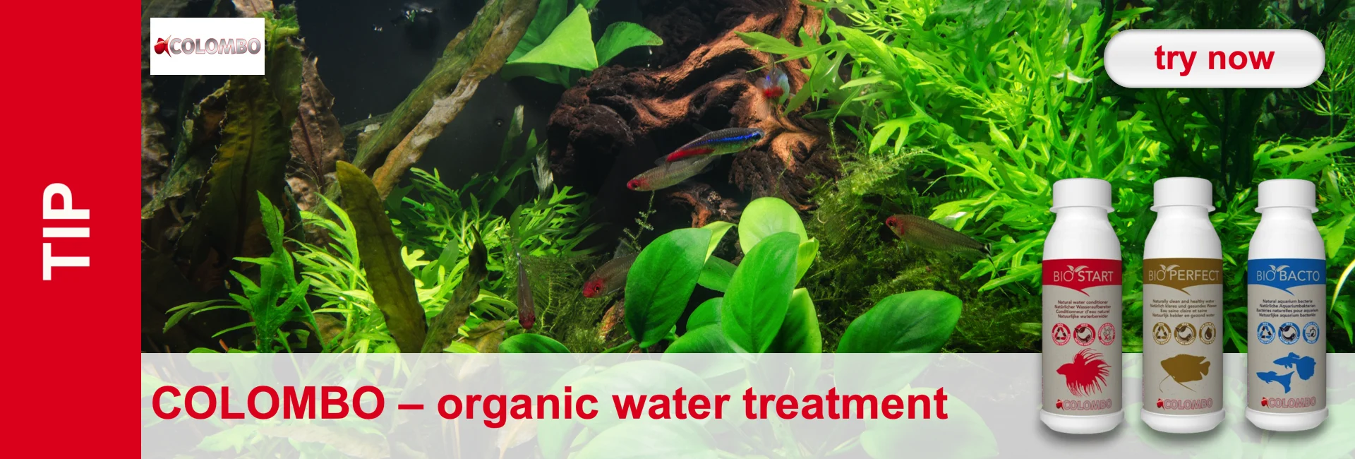 An aquarium with tropical fish, green plants and three white bottles of water conditioner from the brand Colombo.