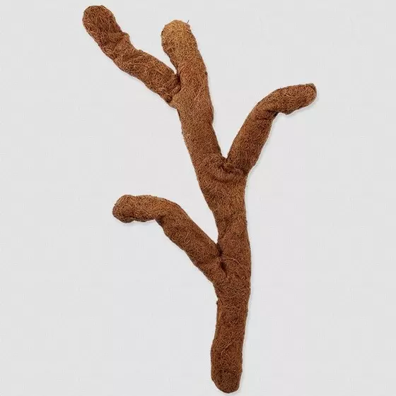 Coco Troncho - coconut fibre tree Coco Troncho - coconut fibre tree