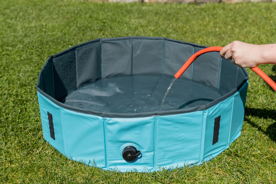 Piscine pour chiens Piscine pour chiens