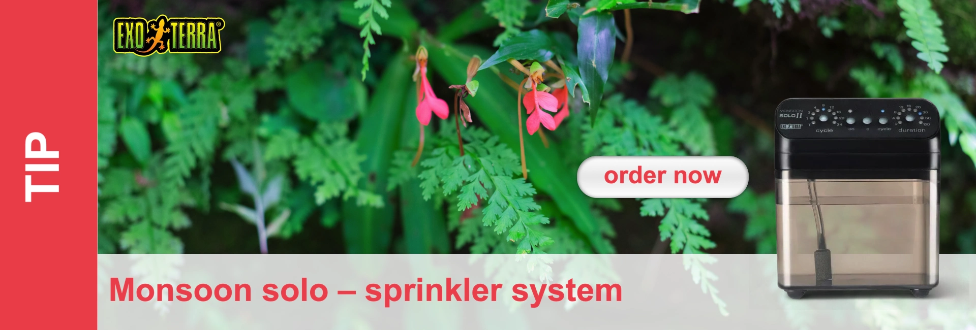 Terrarium irrigation system in front of tropical vegetation, red banner and "Order Now" button.