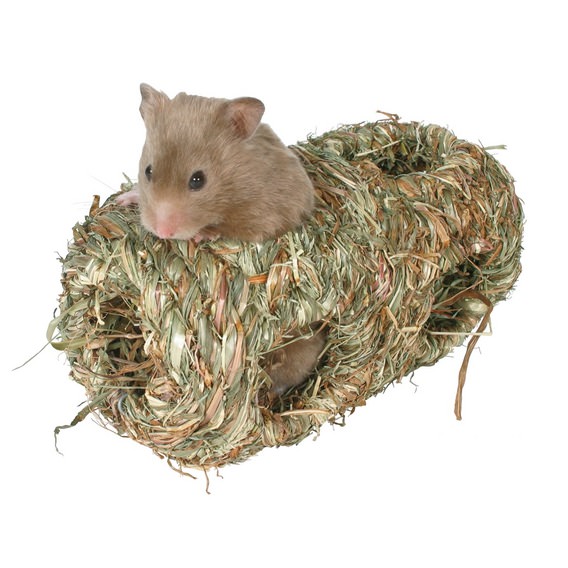 Herbe nid pour hamsters - deux fois