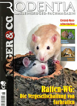 Rodentia Nager&Co Nr. 46, Die Ratten WG - Vergesellschaftung von Farbratten