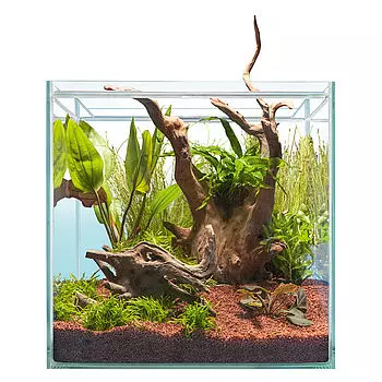 sera-scaper-cube-64l sera Scaper Cube 64l