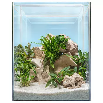 sera-scaper-cube-80l sera Scaper Cube 80l