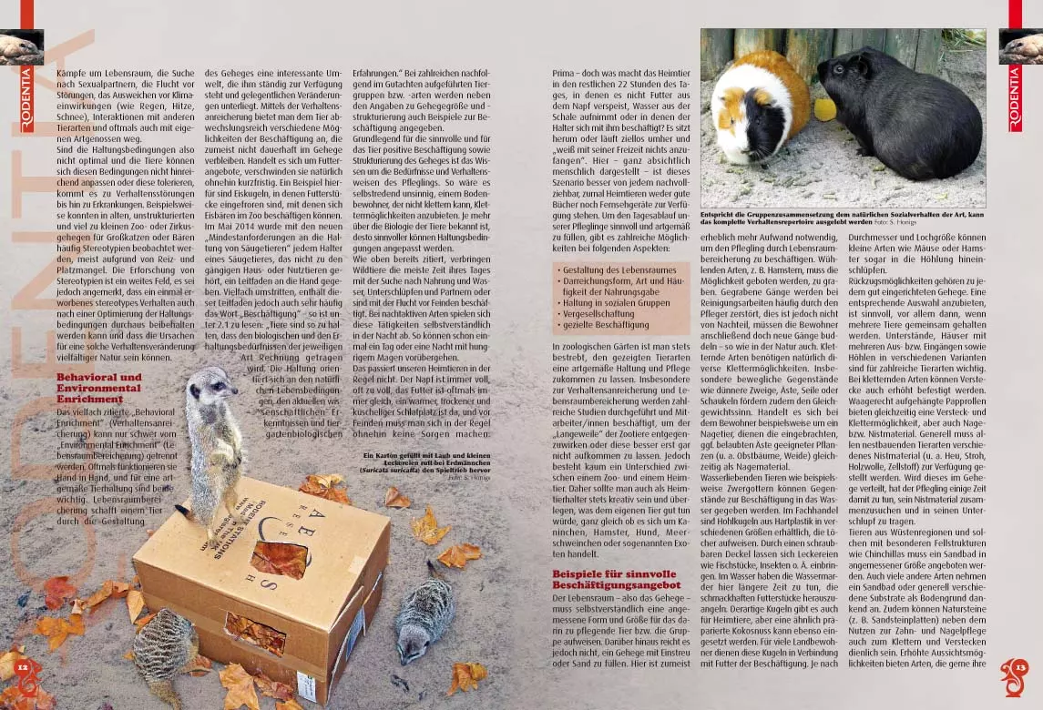 rodentia-82-tiere-sinnvoll-beschaeftigen-3 Rodentia 82 - Tiere sinnvoll beschäftigen
