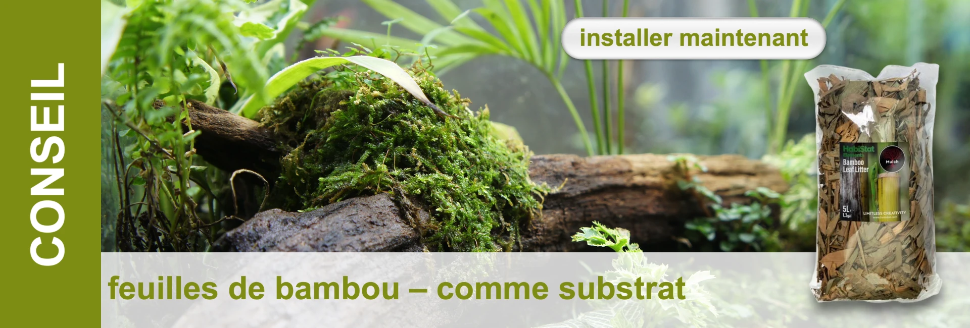 Arrangement de mousse, de bois et de plantes avec un sac de litière de bambou en arrière-plan.