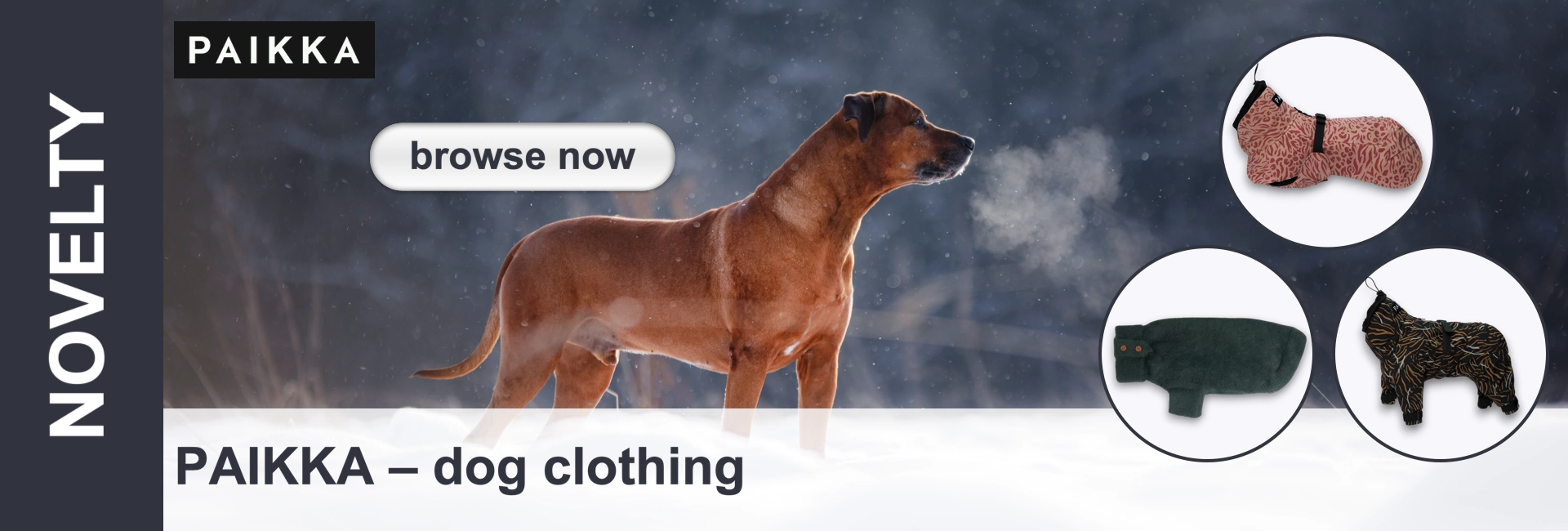 Light-coloured dog standing in a snowy winter landscape, breath visible. Pattern of dog clothing in circles to the right. On the left text "Novelty" and "Paikka dog clothing".