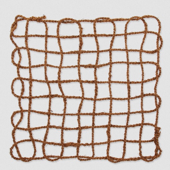 Coco net