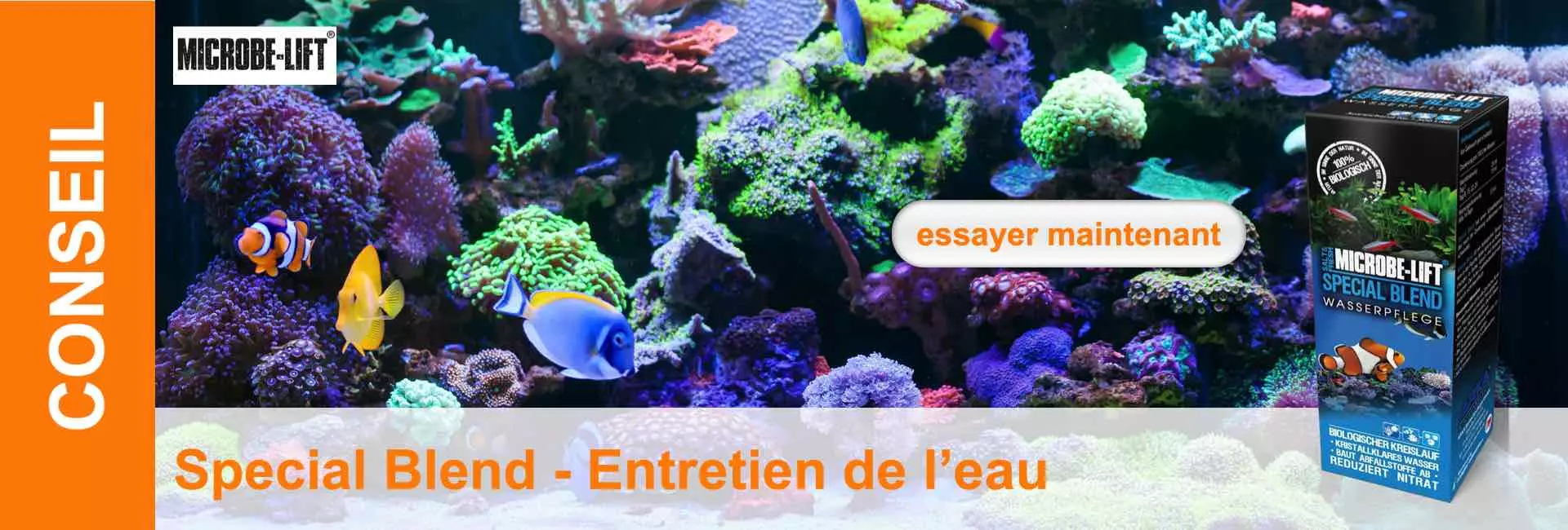 Un aquarium coloré avec des poissons, des coraux et des plantes aquatiques. Au premier plan à droite, on peut voir un produit pour l'entretien de l'eau.