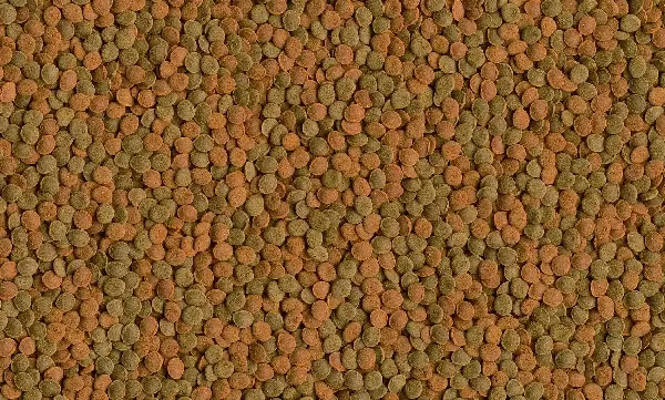 TetraWafer Mix
