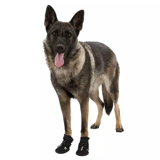 Paw protection Walker Active black Paw protection Walker Active black