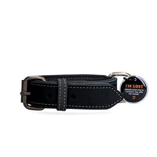 Leather collar with smart tag