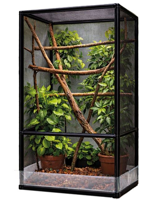 Hohes, rechteckiges Terrarium mit schwarzem Metallrahmen und Netzseiten, gefüllt mit üppigem Grün. Dicke Äste kreuzen sich innen als Kletterstrukturen. Dunkelgrüne Pflanzen in braunen Töpfen auf rötlich-braunen Kieseln.
