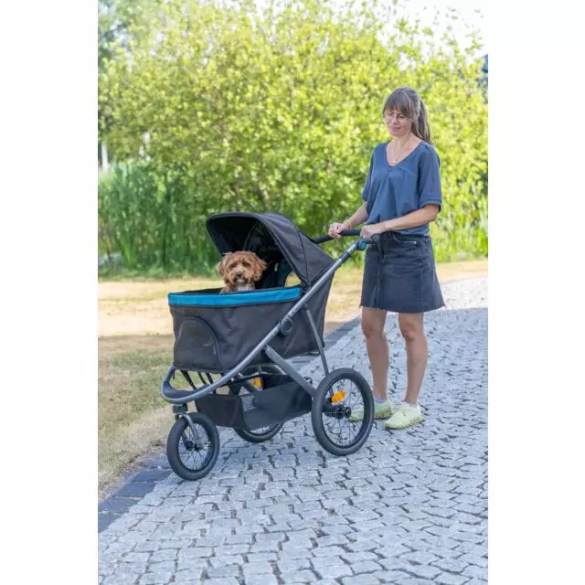Buggy pour chiens et chats noir/pétrole