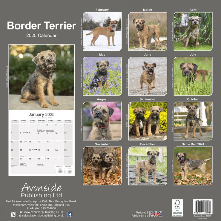Calendrier 2025 Border Terrier Calendrier 2025 Border Terrier