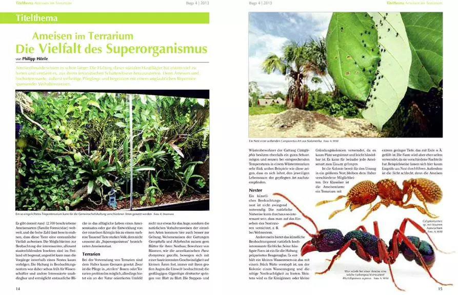 bugs-04-ameisen-im-terrarium-2 Bugs Nr. 04 - Ameisen im Terrarium