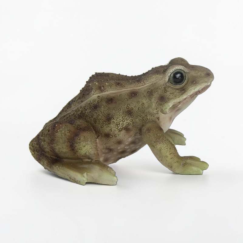 Assorted decorative frogs (green / brown)