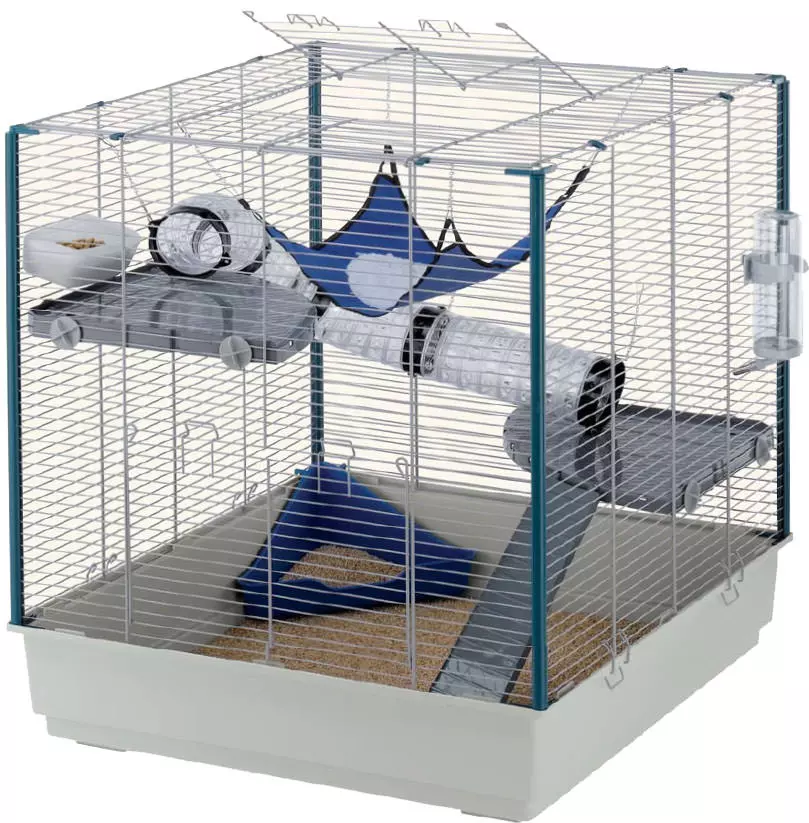 Rat Home Furet XL