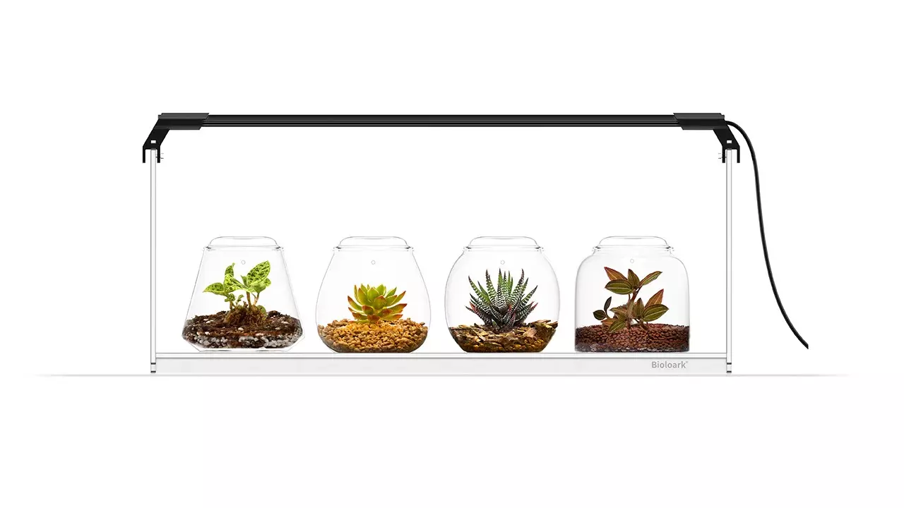 Wabi-Kusa SET 4 Gläser Wabi-Kusa SET 4 Gläser