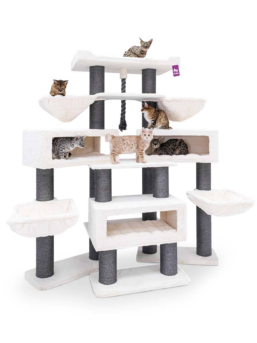 Grande tiragraffi a più livelli con peluche bianco e tronchi grigi per graffiare. Sei gatti: un Bengala in alto, un Tabby nell'amaca, uno arancione al centro, due maculati nelle tane, uno che fa capolino. Una corda pende verso il basso.