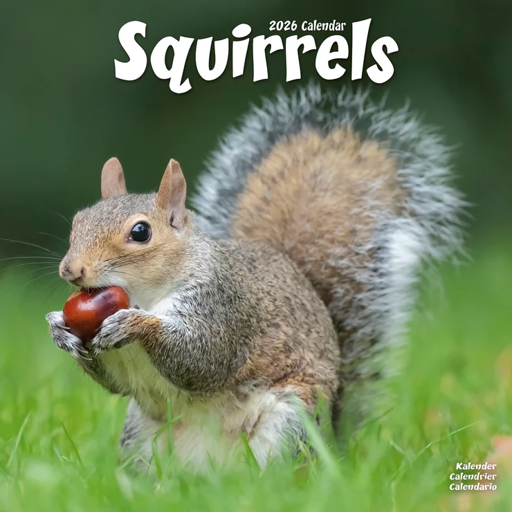 Calendar 2025 Squirrels