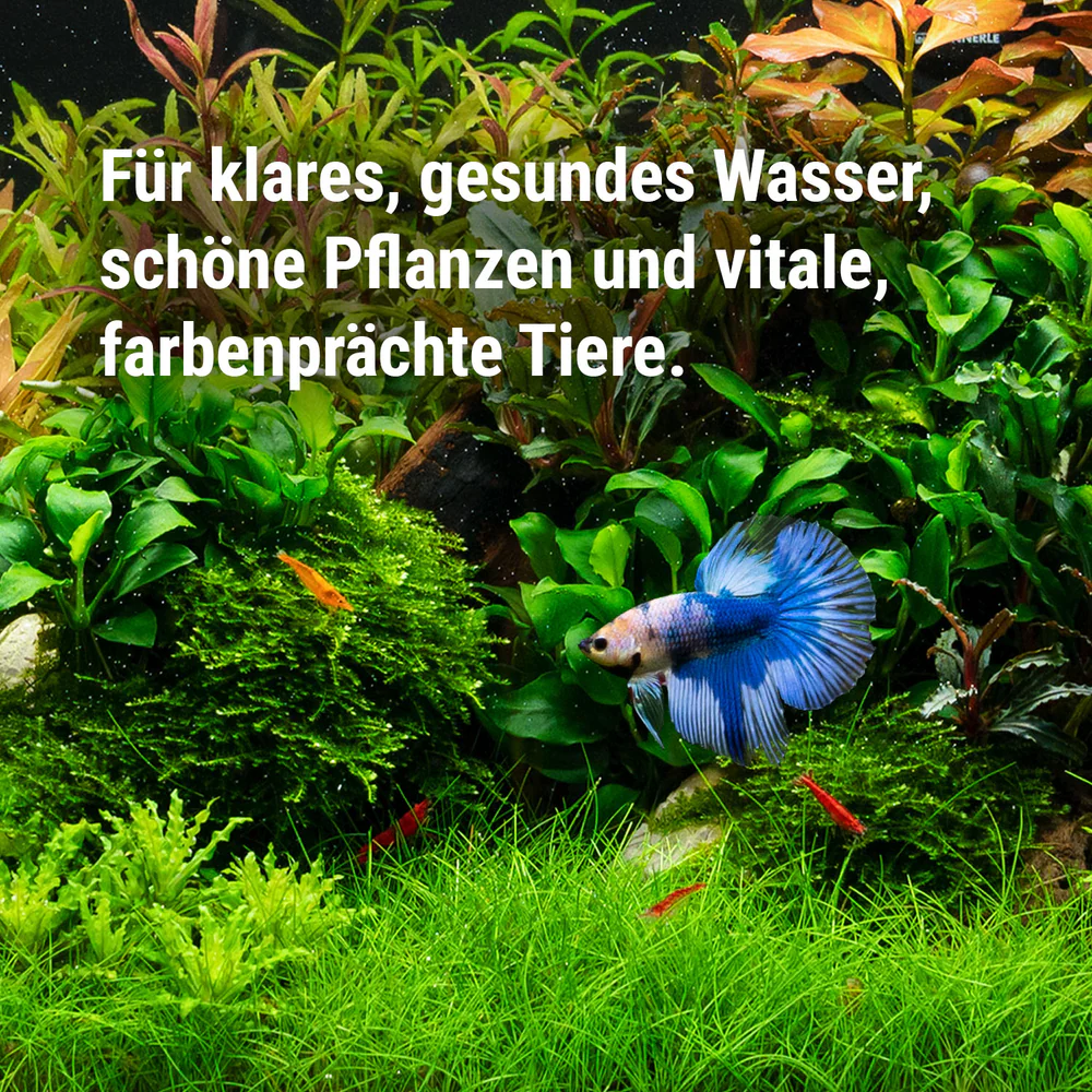 Dennerle Care & Protect Set 