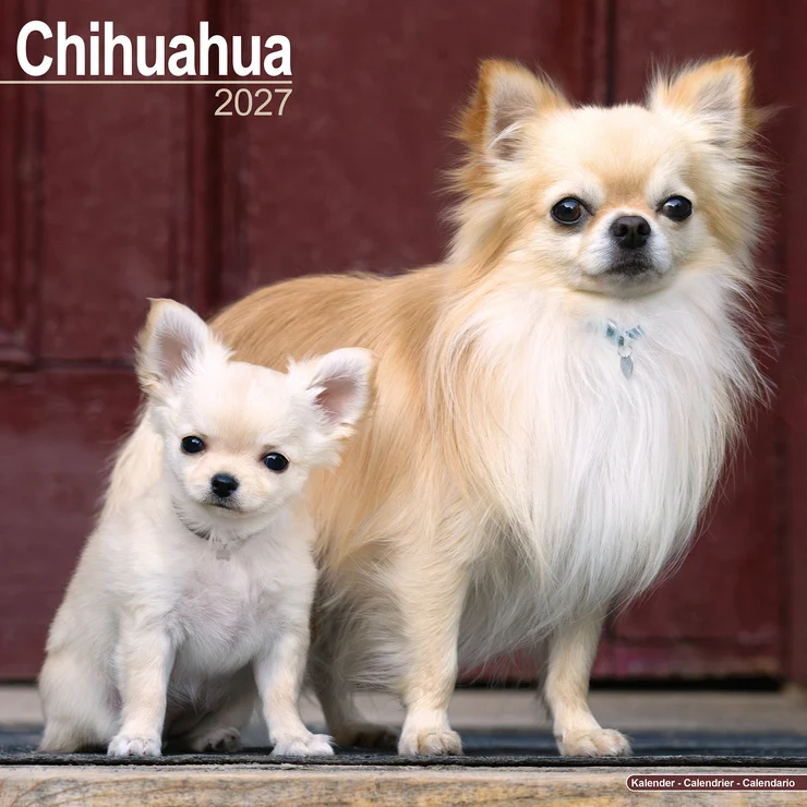 Calendrier 2026 Chihuahua - Chi