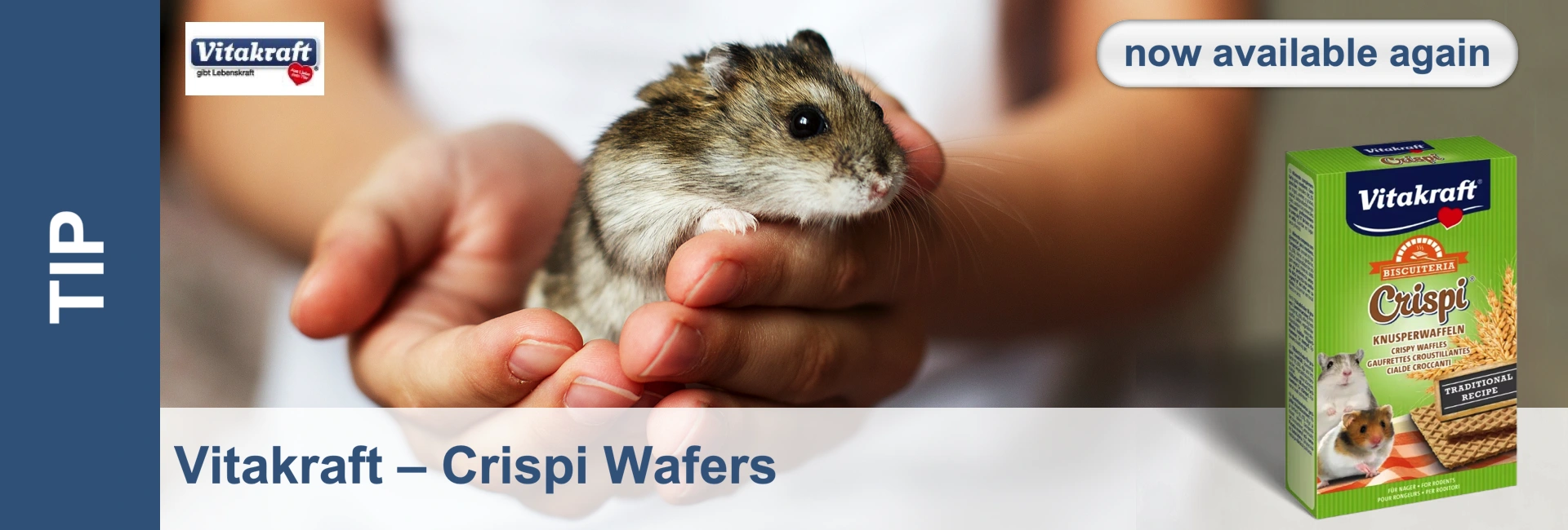 A hamster sits in a hand, next to a green packet of Crispi waffles from Vitakraft. Banner with the text "now available again".