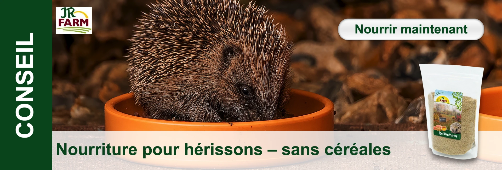 Un hérisson mange dans un bol orange, sac de nourriture pour hérissons en arrière-plan.