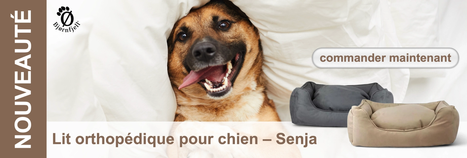 Chien dans une literie blanche, avec en dessous deux lits pour chiens et le texte "Lit orthopédique pour chien - Senja".