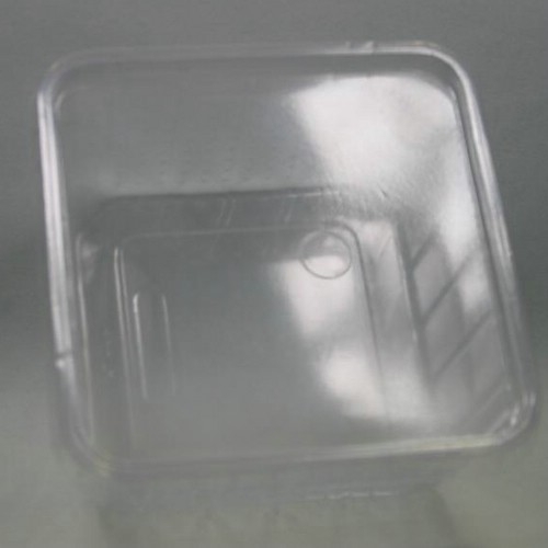 Box plastique 11x11cm